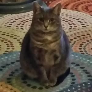 Meet your Posher, Phyllis